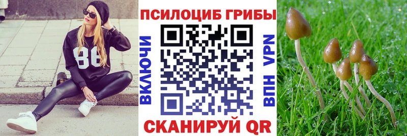 где найти наркотики  Дальнереченск  Галлюциногенные грибы Magic Shrooms 